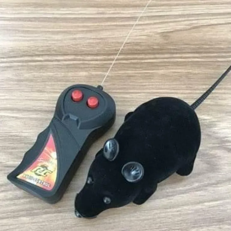 Interaktives Haustierspielzeug mit Fernbedienung – Spaß für Hunde und Katzen