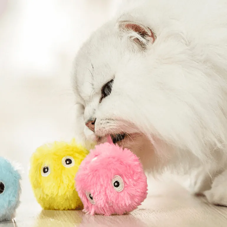 Interaktives 3-in-1-Katzenspielzeug – Anregender Katzenrufball für Spaß und Spielzeit