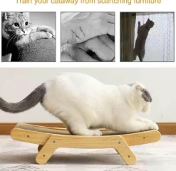 Interaktives Katzenkratzbett – Verspielte Lounge für Katzen