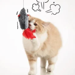 Interaktives Katzenspielzeug für spannendes Spielen. Stimulieren Sie die Neugier Ihrer Katze.