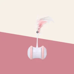 Interaktives Katzenspielzeug – Spannendes Miau-Spiel für spaßige Spielstunden