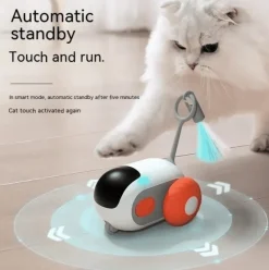 Interaktives Katzenspielzeug – Spannendes Verfolgungsspiel für Katzen