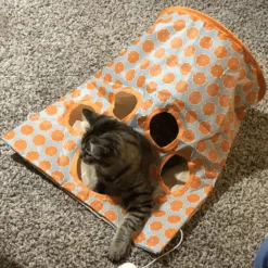 Interaktives Katzentunnelspielzeug – spannende Spielröhre für aktive Katzen