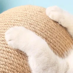 Interaktives Kratzballspielzeug für Katzen – lustiges und spannendes Spielzubehör