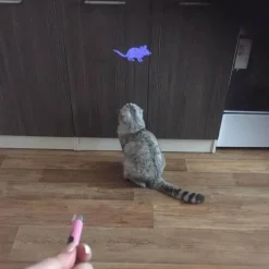 Interaktives Laser-Katzenspielzeug – Lustiges Haustierspielzeug