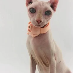 Interaktives Laserpointer-Katzenspielzeug – lustige Taschenlampe für Haustiere