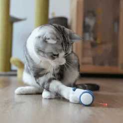 Interaktives Pixie-Maus-Spielzeug – lustiger und verspielter Begleiter für Kinderabenteuer