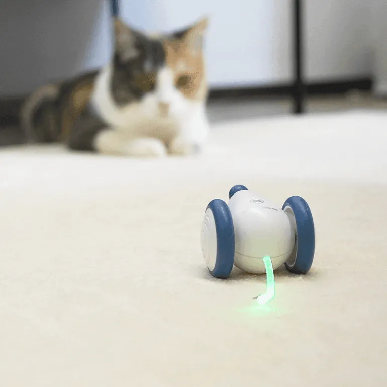 Interaktives Pixie-Maus-Spielzeug – lustiger und verspielter Begleiter für Kinderabenteuer