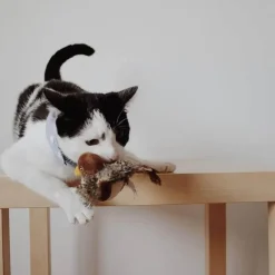Interaktives Vogel-Katzenspielzeug – Teaser für neugierige Katzen
