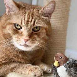 Interaktives Vogel-Katzenspielzeug – Teaser für neugierige Katzen