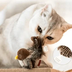 Interaktives Vogel-Katzenspielzeug – Teaser für neugierige Katzen