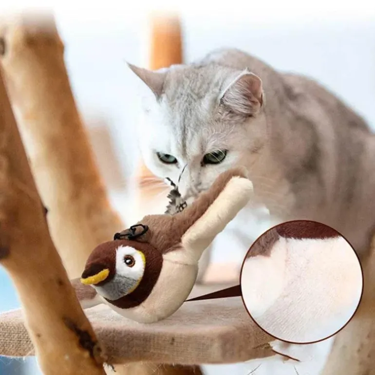Interaktives Vogel-Katzenspielzeug – lustiges Spielzeug für Katzen