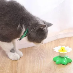 Interaktives Vogelspielzeug für spannende Vogelunterhaltung und Spiel