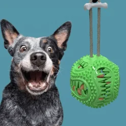 Interaktives Zahnspielzeug für Hunde – Zahnreinigungsball für Haustiere