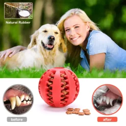 Interaktives Zahnspielzeug für Hunde – Zahnreinigungsball für Haustiere