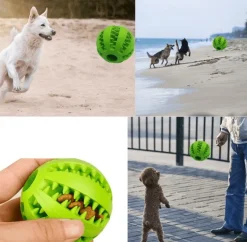 Interaktives Zahnspielzeug für Hunde – Zahnreinigungsball für Haustiere