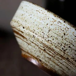 Japanisches Geschirrset aus Steingut – Elegante Geschirrkollektion aus Keramik