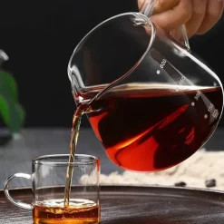 Kaffeekaraffe aus Glas – wiederverwendbarer Wasserkocher, 400–600 ml