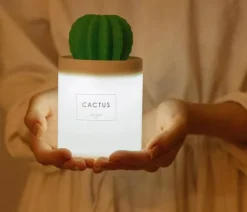 Kaktus-Luftbefeuchter – Ultraschall-Diffusor für ätherische Öle