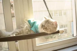 Katzenhängematte – bequemes hängendes Haustierbett