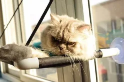 Katzenhängematte – bequemes hängendes Haustierbett