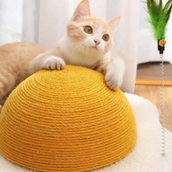 Katzenkratzbrett - Eier-Karotten-Design