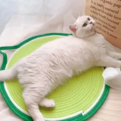 Katzenkratzbrett mit Katzenohren – Gesunde Krallen für glückliche Katzen