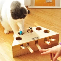 Katzen-Maus-Fangspiel – Interaktives, spannendes Spielzeug für Katzen