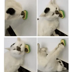 Katzenminze-Avocado-Ball – Interaktives Selbstspielspielzeug für Katzen