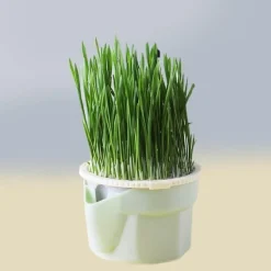 Katzenminz-Pflanzgefäß - Kräuter-Snacktopf für Katzen