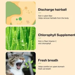 Katzenminz-Pflanzgefäß - Kräuter-Snacktopf für Katzen