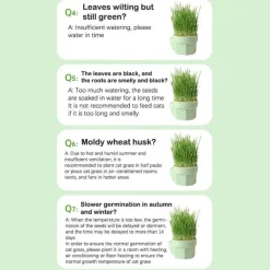 Katzenminz-Pflanzgefäß - Kräuter-Snacktopf für Katzen