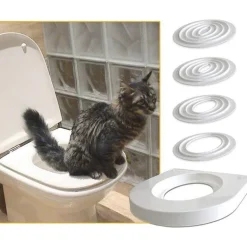 Katzentoiletten-Trainingsset – Einfache Lösung für ein streufreies Training