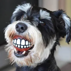 Kauspielzeug für Hunde mit Smiley-Motiv aus Gummi – Lustiges Kauspielzeug für Haustiere