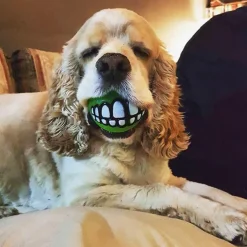 Kauspielzeug für Hunde mit Smiley-Motiv aus Gummi – Lustiges Kauspielzeug für Haustiere