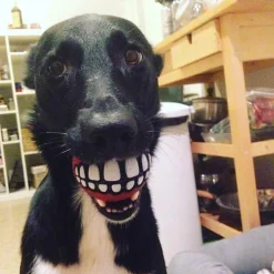 Kauspielzeug für Hunde mit Smiley-Motiv aus Gummi – Lustiges Kauspielzeug für Haustiere