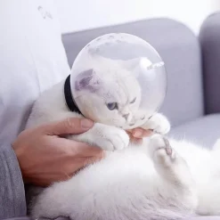 Kopfbedeckung zur Katzenpflege – Sicherheitswerkzeug gegen Bisse