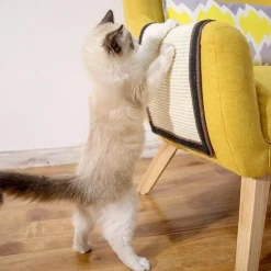 Kratzbrett für Haustiercouch – Möbelschutzkratzer