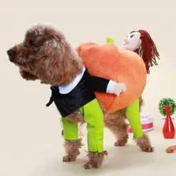 Kürbis-Hundekostüm – Süßes Halloween-Haustier-Outfit