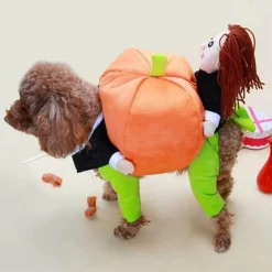 Kürbis-Hundekostüm – Süßes Halloween-Haustier-Outfit