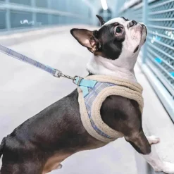 Kuschelige Hundeleine - Warme Fellleine für Haustiere