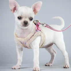 Kuschelige Hundeleine - Warme Fellleine für Haustiere