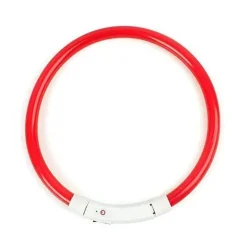 LED-Hundehalsband – Superhelles Leuchtzubehör für mehr Sicherheit