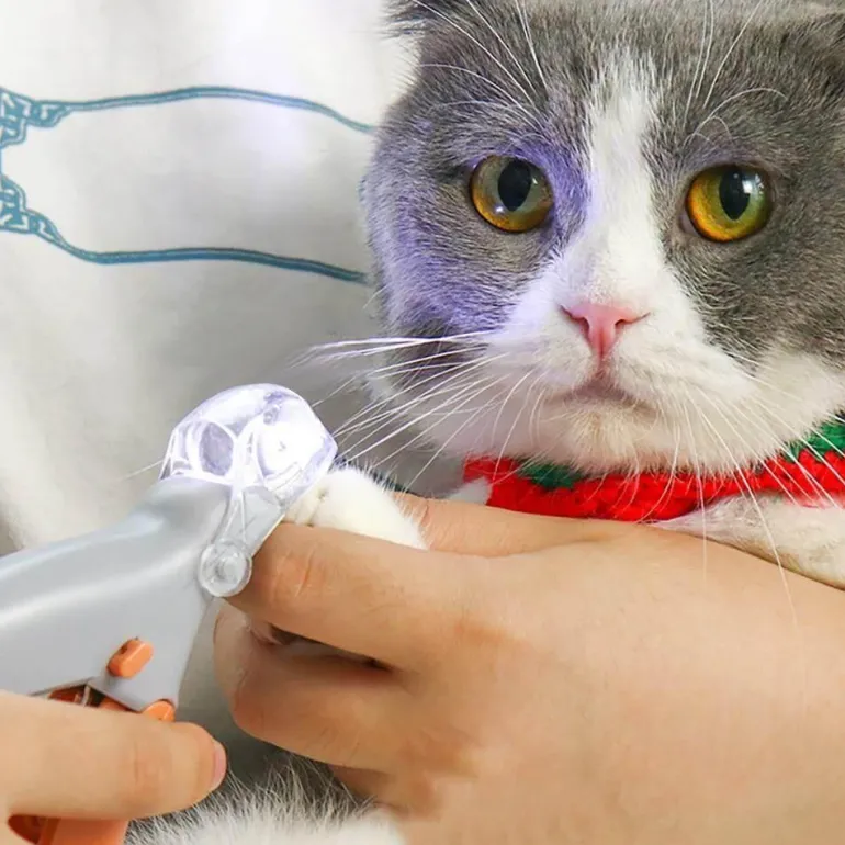 LED-Krallenschneider für Haustiere – Professionelles Pflegewerkzeug für Hunde und Katzen