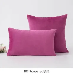 Luxuriöser Kissenbezug aus Samt – weicher Euro-Kissenbezug in mehreren Farben und Größen