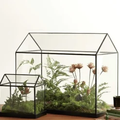 Mini-Gewächshaus-Terrarium – Tisch-Pflanzendisplay