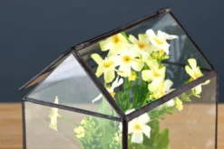 Mini-Gewächshaus-Terrarium – Tisch-Pflanzendisplay