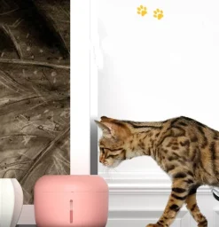 Mini-Katzenbrunnen – Automatischer elektrischer Wasserspender für Haustiere