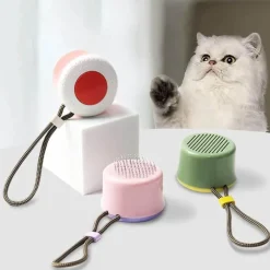 Mini-Katzenhaarentfernungsbürste – Einfaches Reinigungswerkzeug mit einem Klick