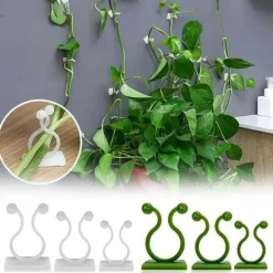 Mini-Pflanzen-Wandclips – selbstklebende Pflanzenhalter für den Innenbereich